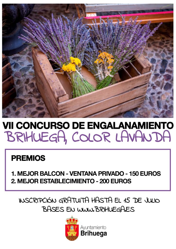 Concurso de Engalanamiento Brihuega 2024