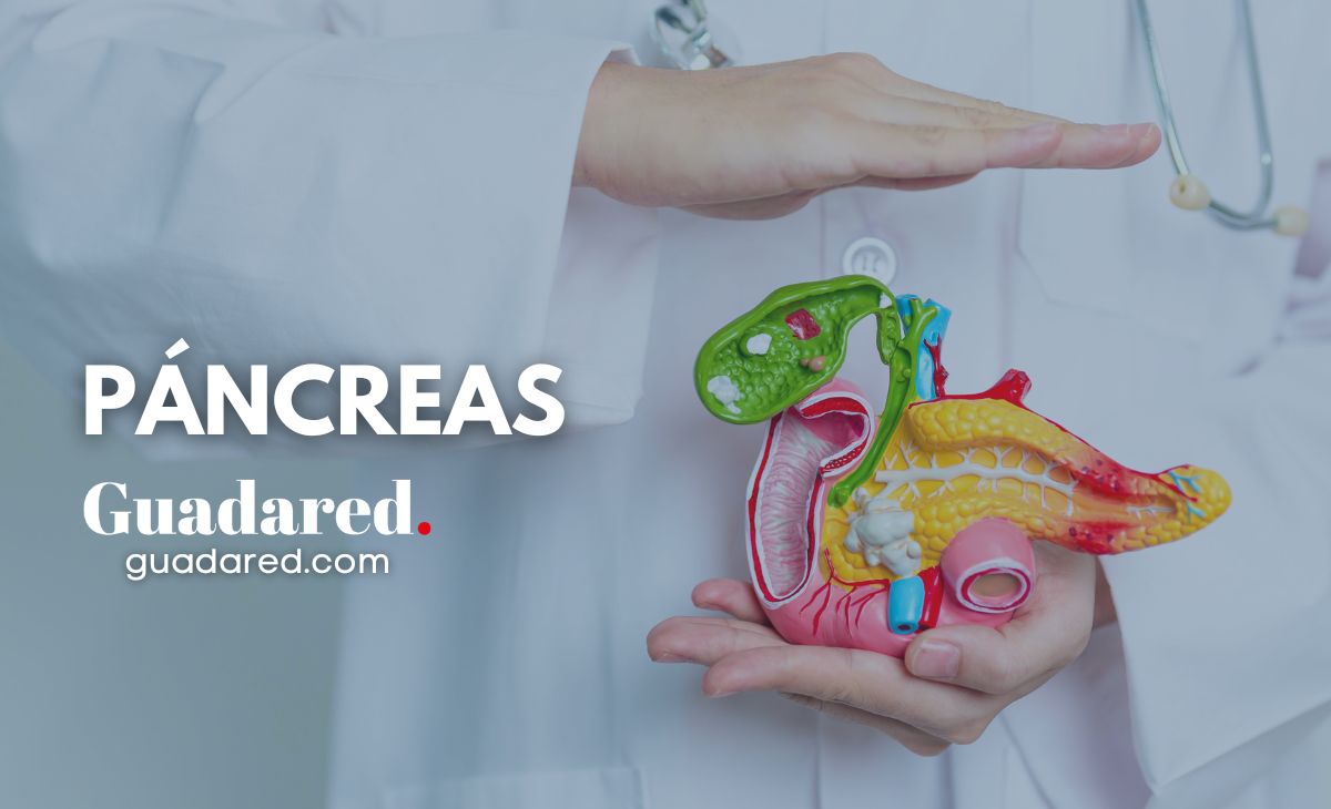 Investigadores Mejoran la Supervivencia del Cáncer de Páncreas: Estudio en JAMA Network Open