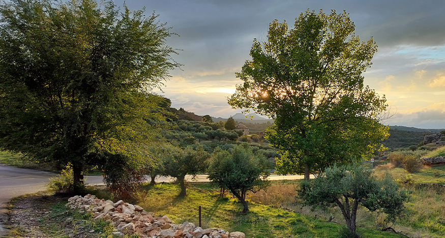 VIII Concurso de Fotografía de Trillo