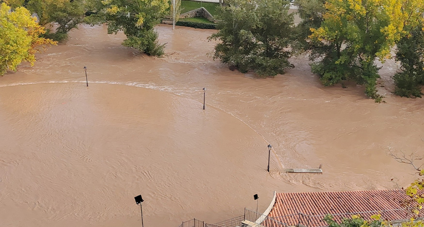 VIII Concurso de Fotografía de Trillo