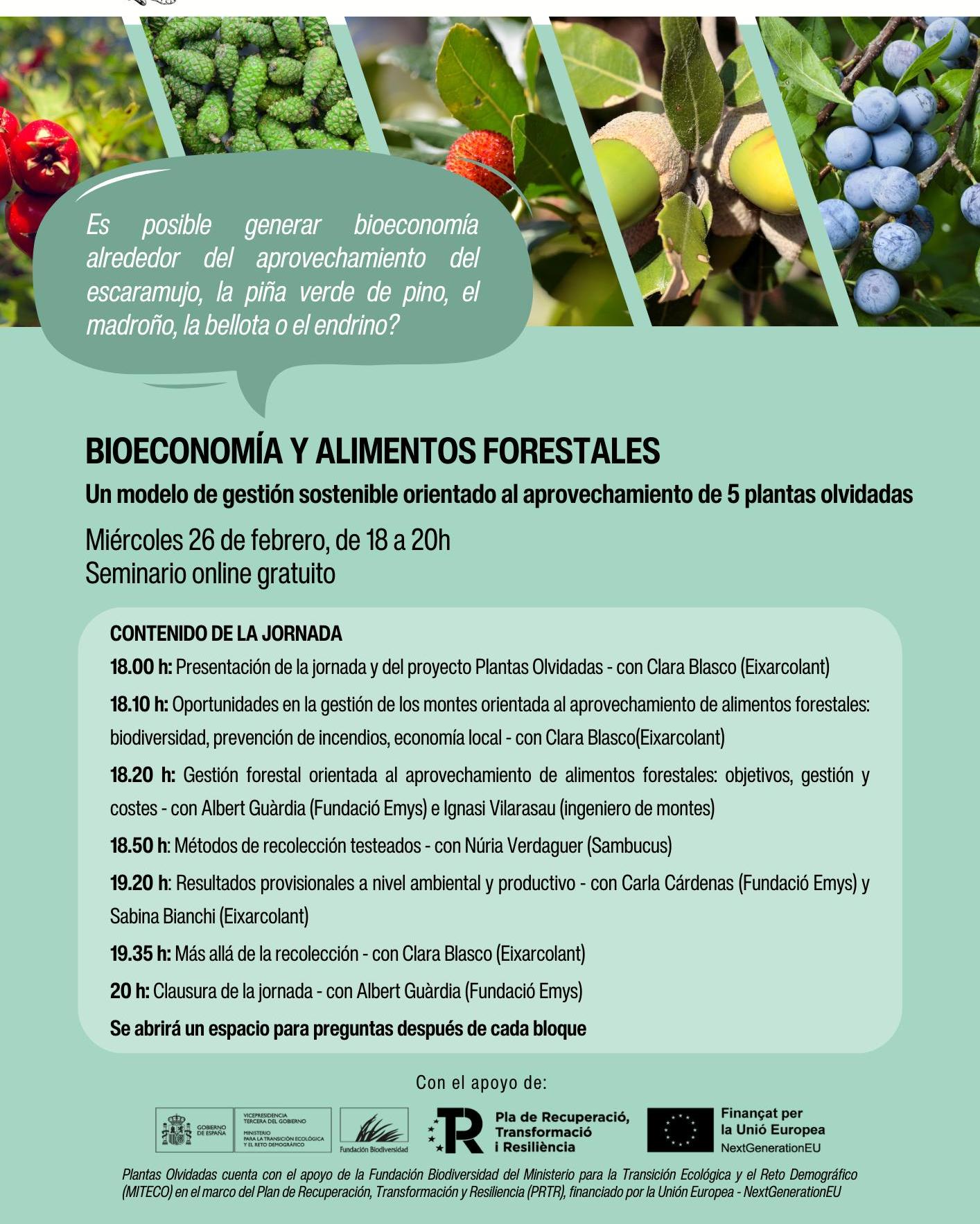 Webinar sobre Bioeconomía y Aprovechamiento Sostenible de Plantas Forestales Olvidadas - 26 de febrero
