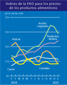 Caída del Índice de Precios de la Carne de la FAO en Enero de 2025: Impacto de la Demanda Estacional y Factores Sanitarios