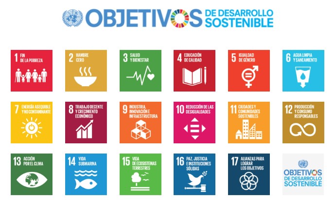 Economía Circular: Hacia un Futuro Sostenible
