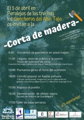 Corta de Madera en Peralejos de las Truchas: Tradición Ganchera en el Alto Tajo el 5 de Abril