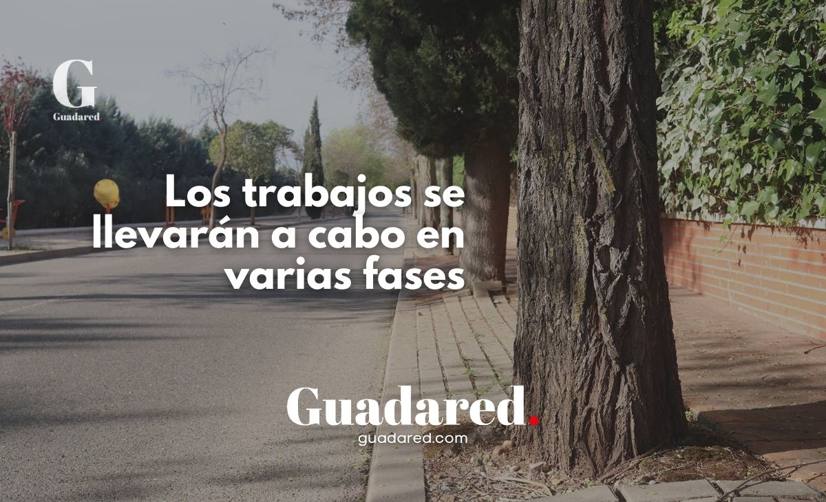 Comienzan las Obras de Remodelación Integral de la Calle Lope de Vega en Cabanillas del Campo