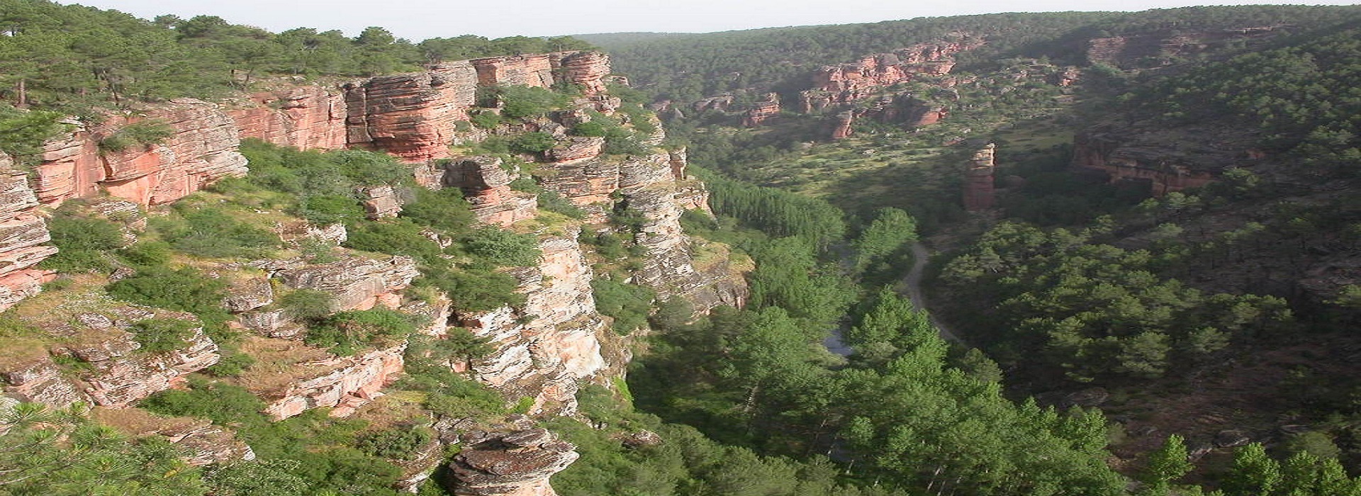 PROGRAMA DE ACTIVIDADES - DÍA INTERNACIONAL DE LOS BOSQUES