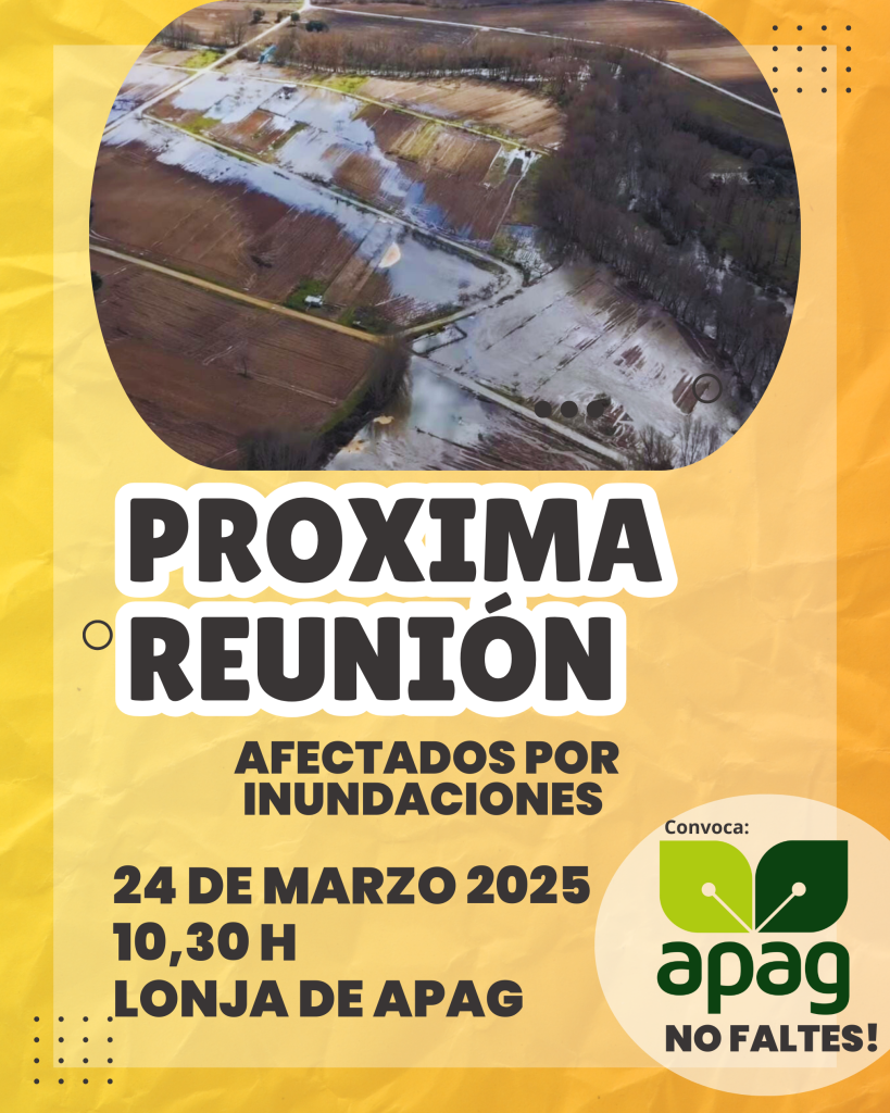 Reunión urgente en Guadalajara para afectados por inundaciones: ayudas, compensaciones y soluciones