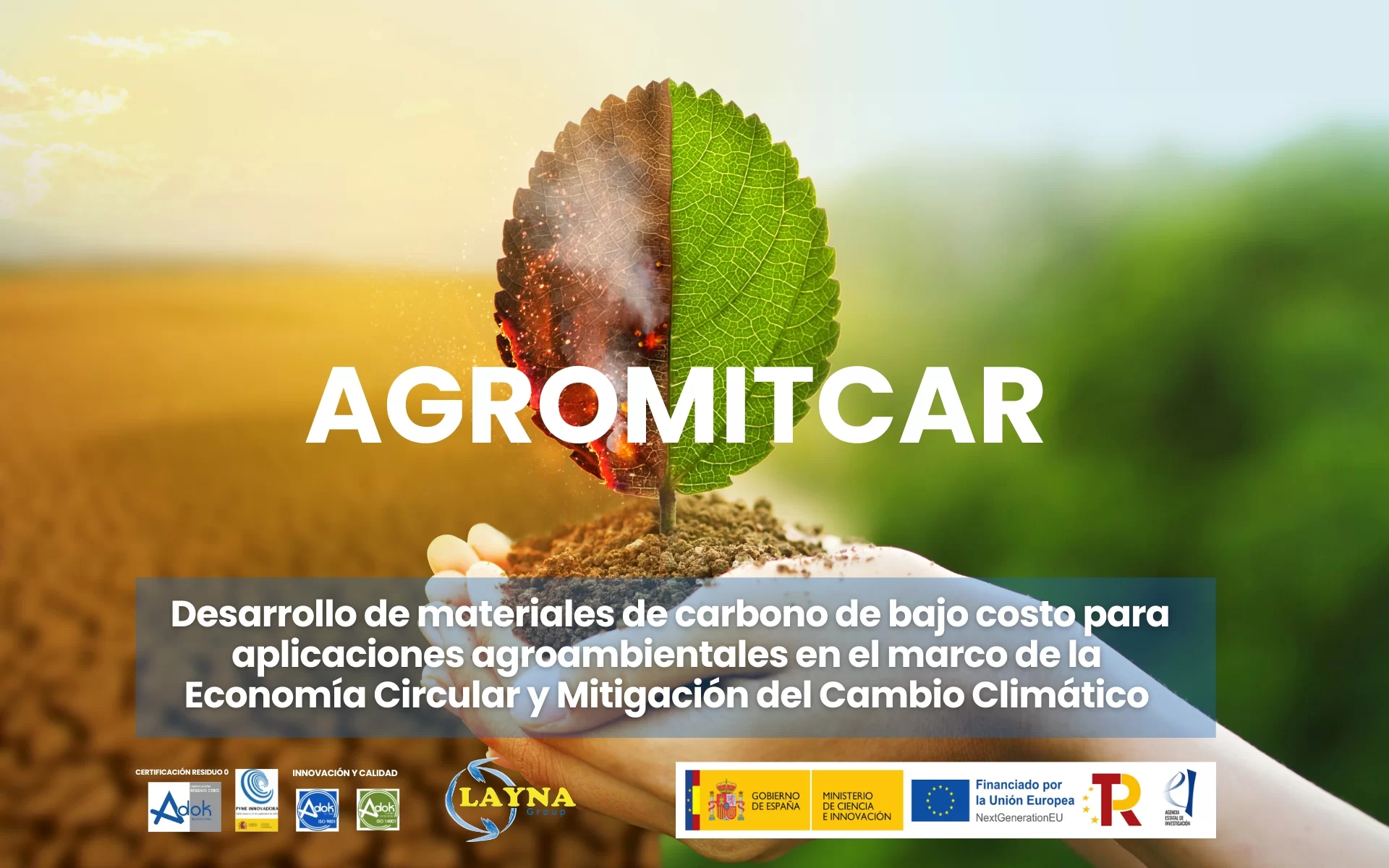 ¿Por qué elegir ser una empresa sostenible?