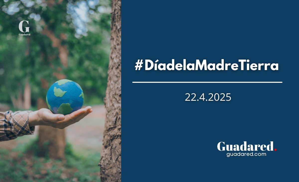 Micorriza cumple 12 años: raíces profundas, futuro verde