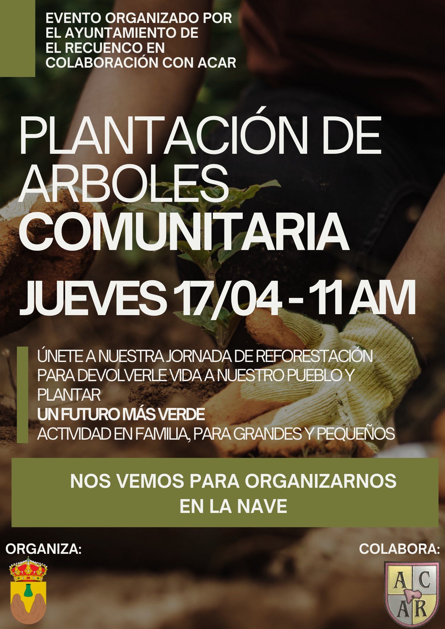 Jornada de Reforestación en El Recuenco: Únete a la Plantación de Árboles para un Futuro Más Verde