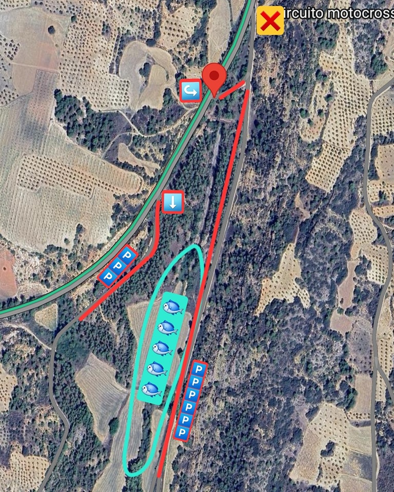Emergencia ambiental en Sacedón: miles de carpas atrapadas tras cierre del canal Entrepeñas-Buendía