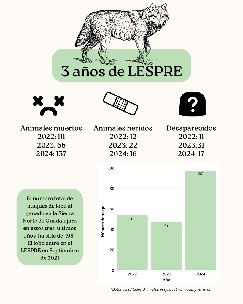 La Diputación de Guadalajara aprueba 470.000 euros en ayudas para ganaderos afectados por ataques del lobo