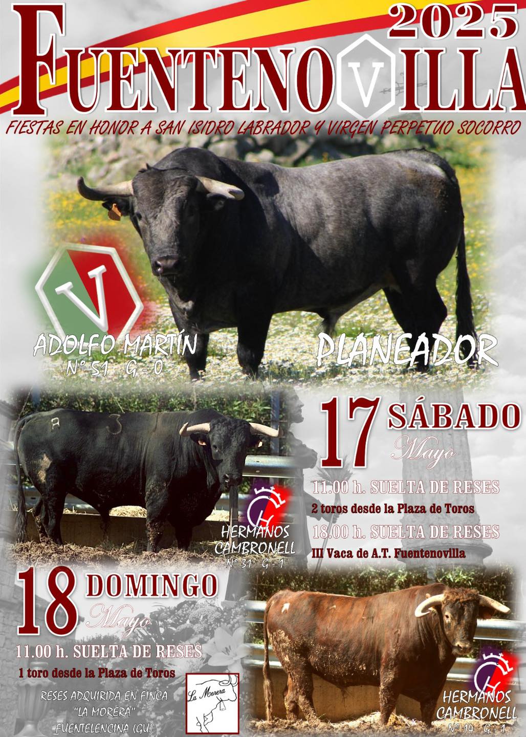 Mayo florece con emoción en Fuentenovilla: fiestas, tradición y alegría compartida