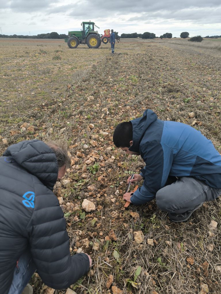 Jornada Técnica en Argecilla sobre el Cultivo de Camelina: Alternativa para Secano y Mercado de Aceites Vegetales