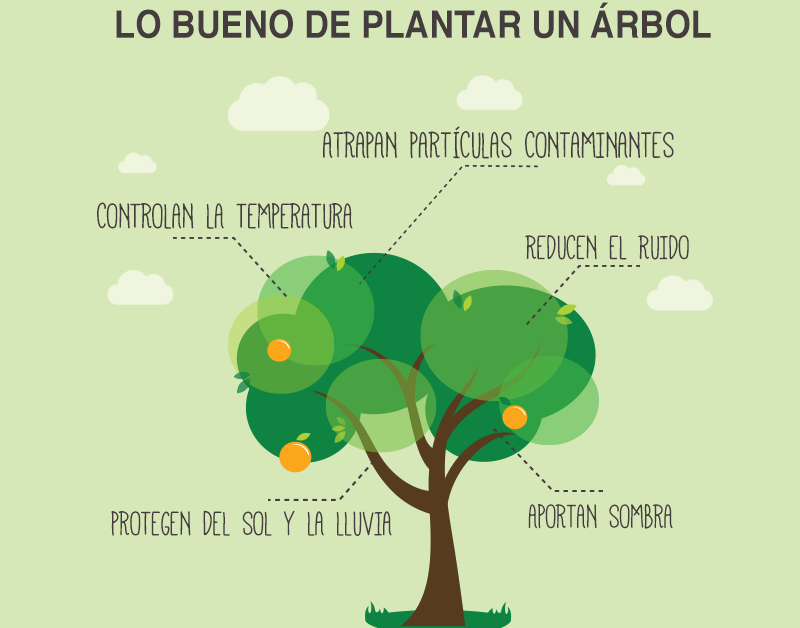 Día Mundial del Árbol 2025: importancia de los árboles en el medio ambiente y la conservación