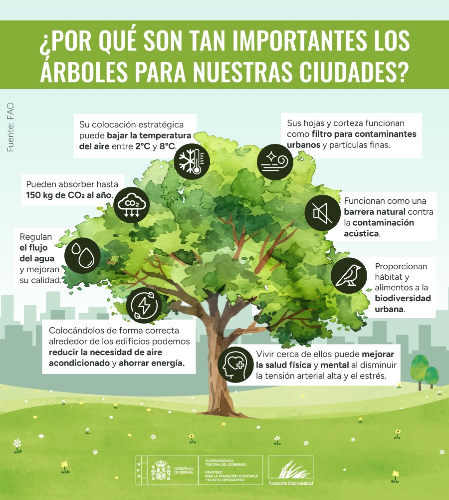 Día Mundial del Árbol 2025: importancia de los árboles en el medio ambiente y la conservación