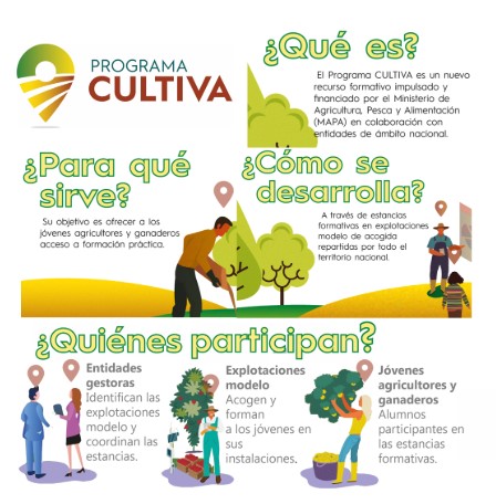 ¿Quién puede solicitar una estancia del Programa CULTIVA?