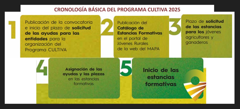 El Ministerio abre la convocatoria del Programa CULTIVA 2025 para jóvenes agricultores y ganaderos