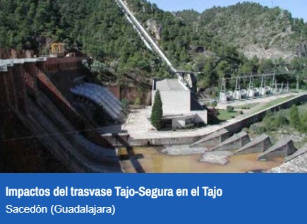 El Mapa de los conflictos del agua revela las amenazas ocultas que sufren ríos y acuíferos en Guadalajara y en todo el Estado español
