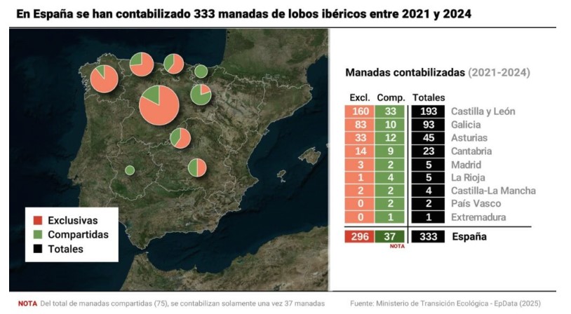 La expansión del lobo ibérico en Guadalajara: cuatro manadas consolidan su presencia en Castilla-La Mancha