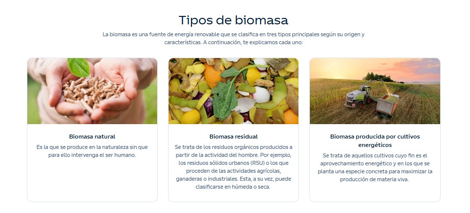 Biomasa: qué es, tipos, ventajas y cómo se transforma en energía renovable