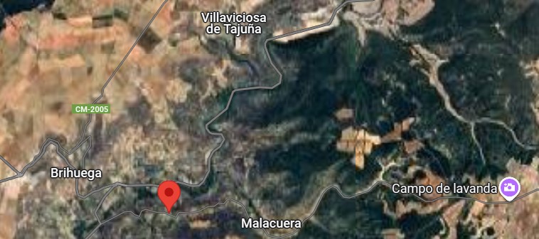 Iván Ferreiro pondrá banda sonora a los campos de lavanda de Brihuega el 12 de julio: un concierto para soñar despiertos