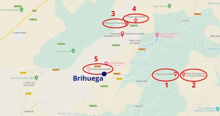  Descubre los Campos de Lavanda en Brihuega: Cuándo Florecen y Dónde Verlos