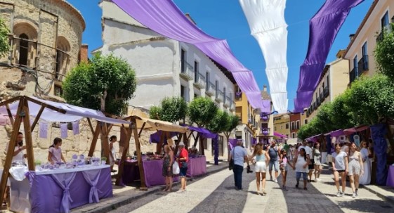 Campos de Lavanda en Brihuega: Mapa, Mejor Época y Consejos para Tu Visita