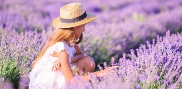 Brihuega y sus Campos de Lavanda: Todo lo que Necesitas Saber para tu Escapada