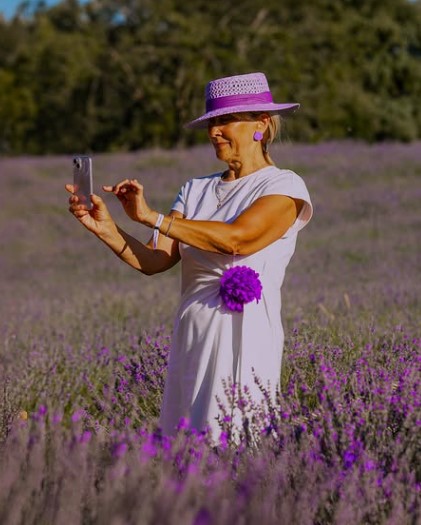 Campos de Lavanda en Brihuega 2025: Guía Completa para Vivir la “Provenza Española”