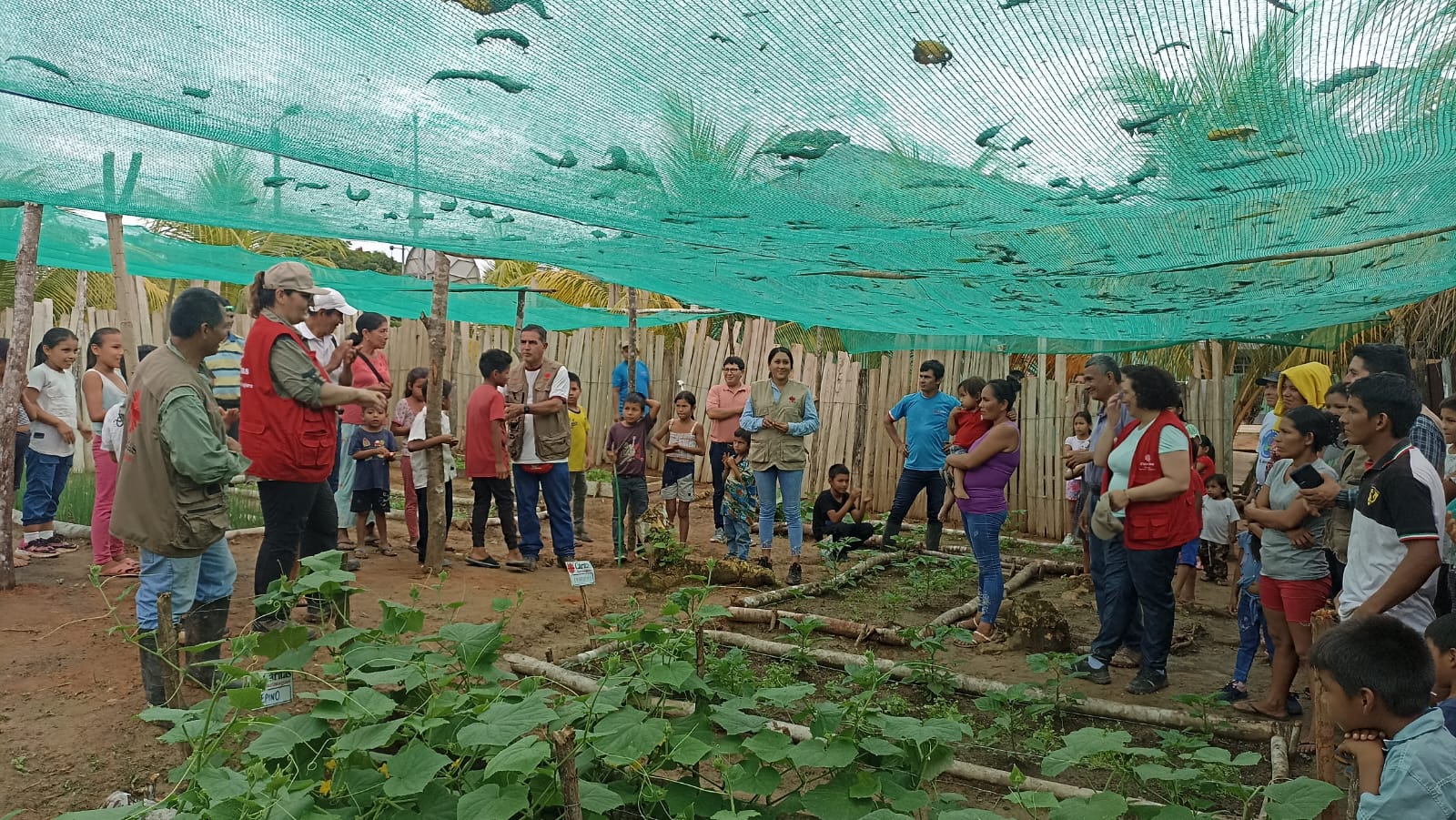 Cáritas apoya en el Alto Amazonas un proyecto de soberanía alimentaria que transforma la vida de mujeres indígenas en Perú