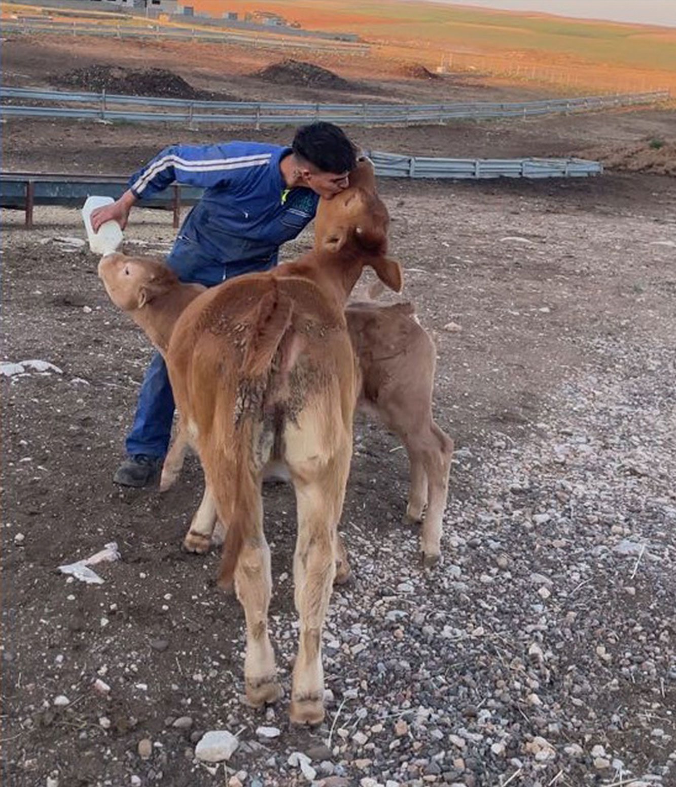 Miguel Torrubiano: ganadería extensiva con visión de futuro
