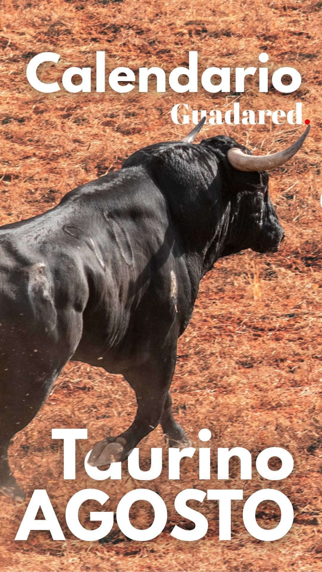 Calendario Taurino Guadalajara Agosto 2025 – Encierros, Novilladas y Festejos