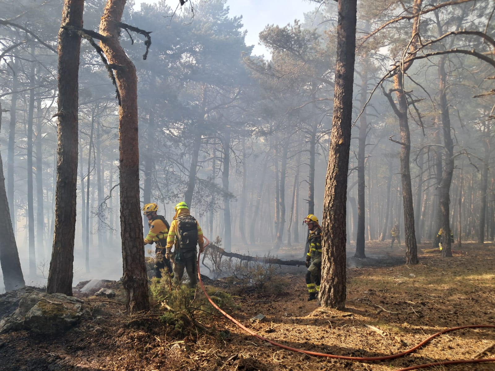 Incendio en La Huerce: controlado y con tráfico reabierto en la CM-1006