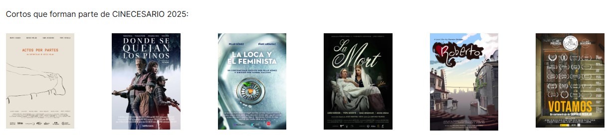 ‘Cinecesario’ cierra su primera edición en Alaminos con el triunfo de “Votamos”