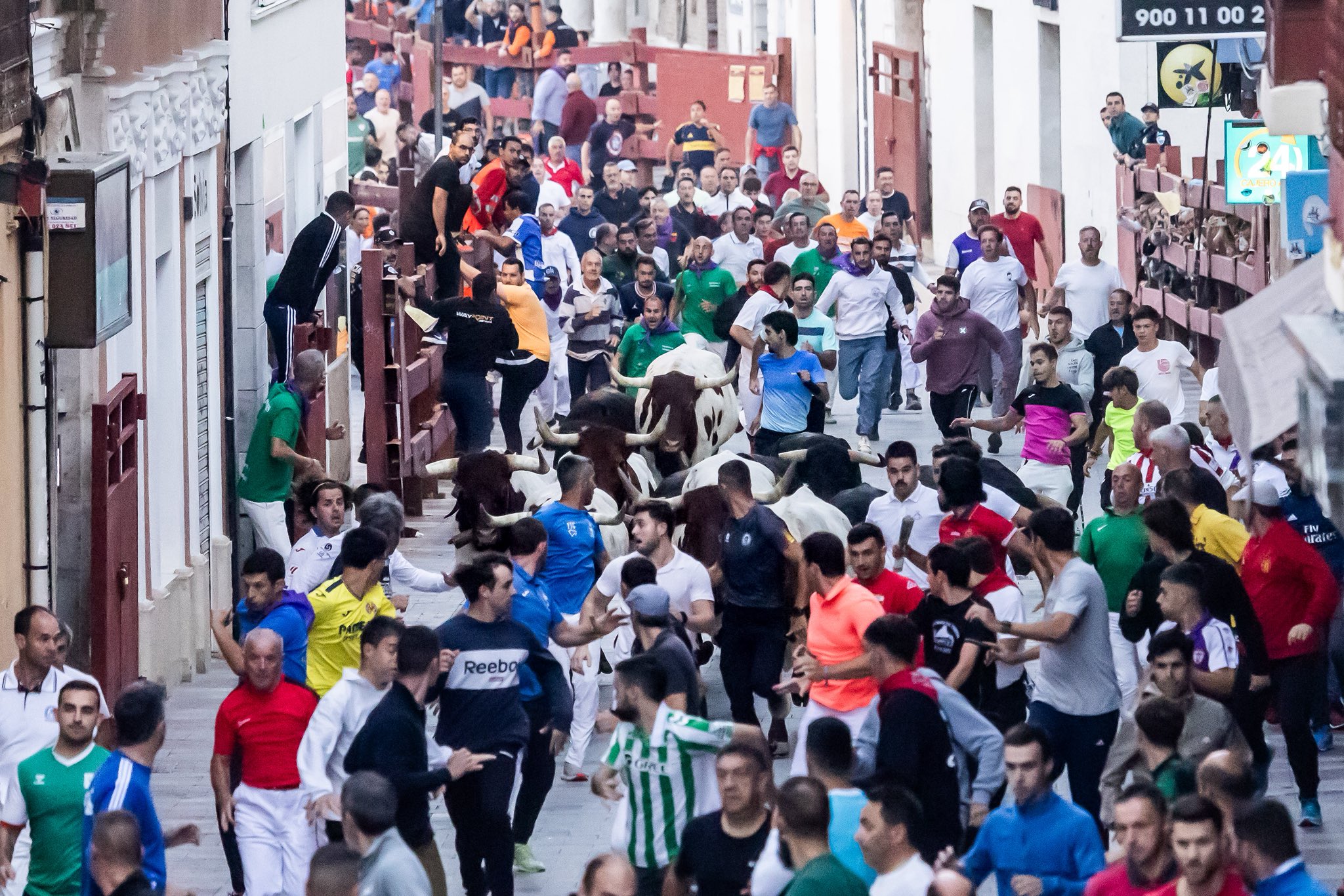 Tercer encierro en Guadalajara 2025: toros de Alcurrucén, lleno en la plaza y carrera de 2:31 minutos