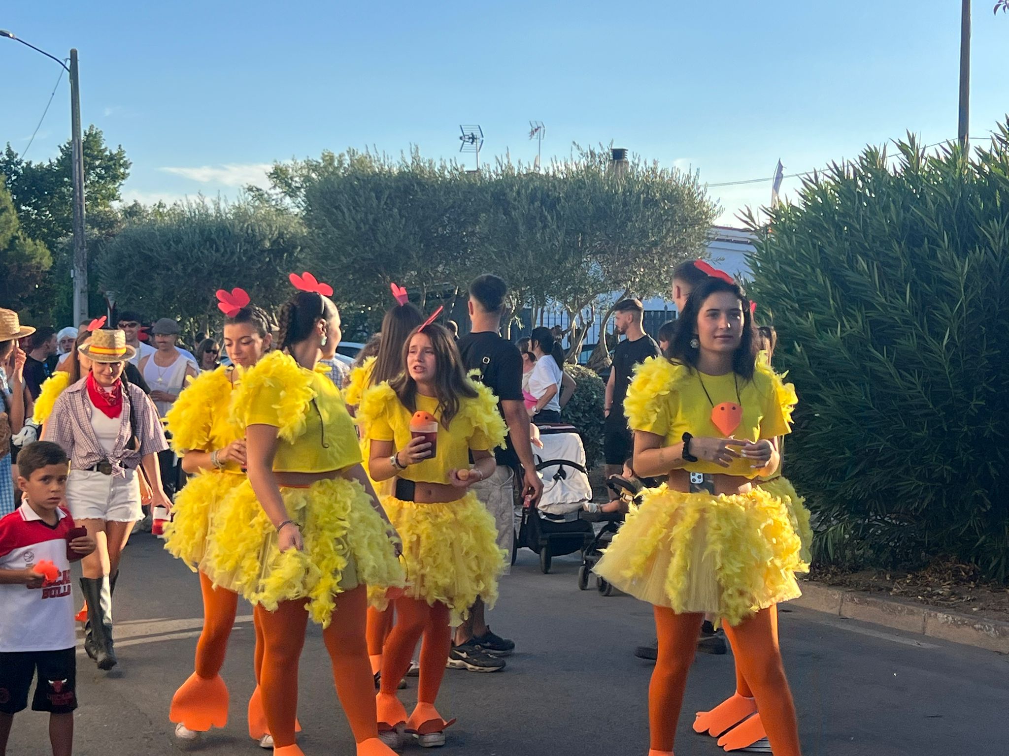 Fiestas de Mesones 2025: toros, tradiciones y diversión hasta el último día