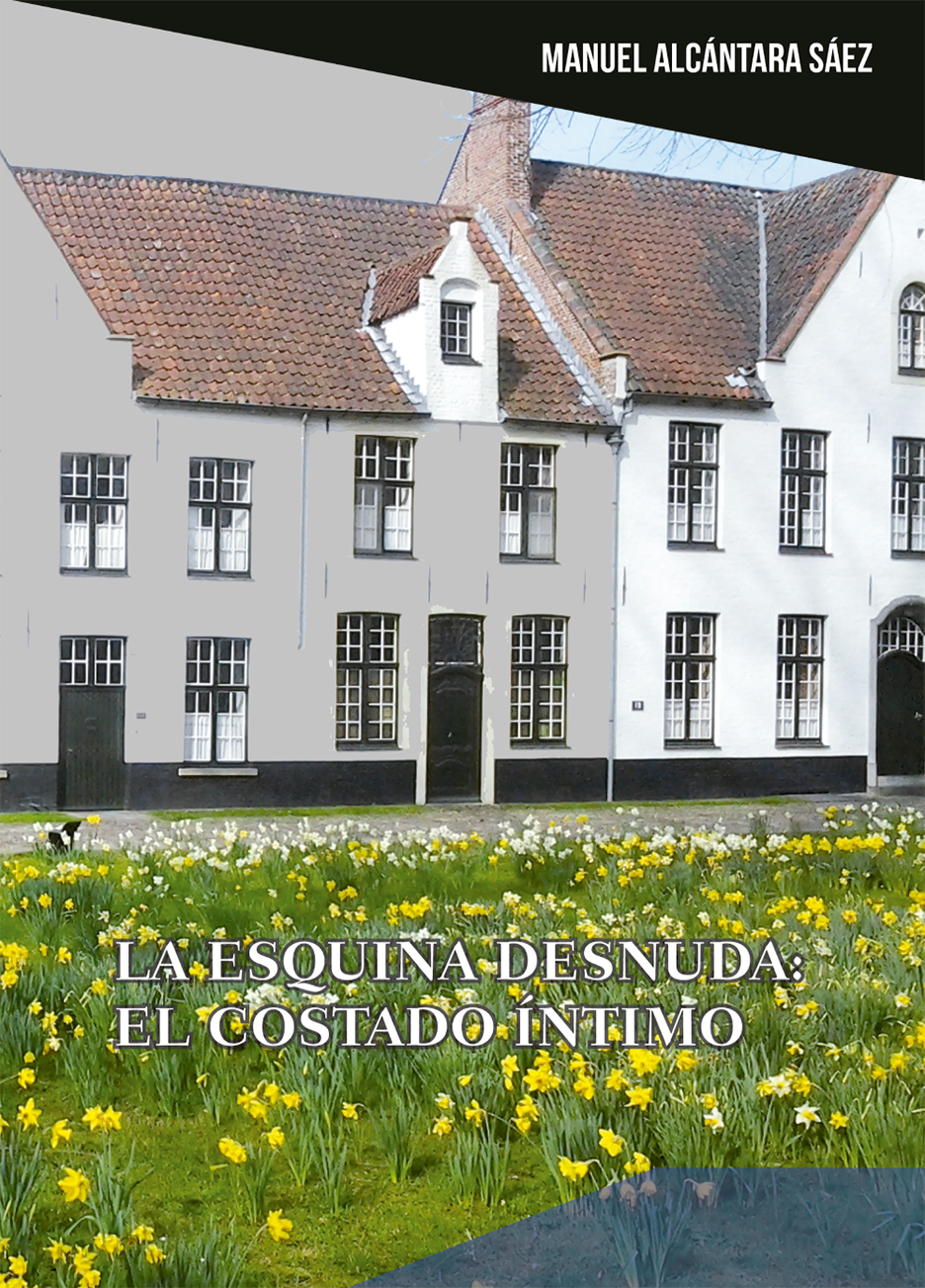 La esquina desnuda, el costado íntimo, de Manuel Alcántara Sáez